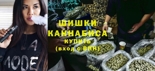крисы Аркадак