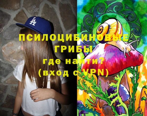 крисы Аркадак
