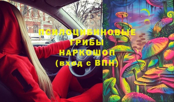 соль ск Арсеньев