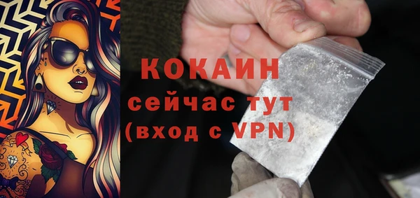крисы Аркадак
