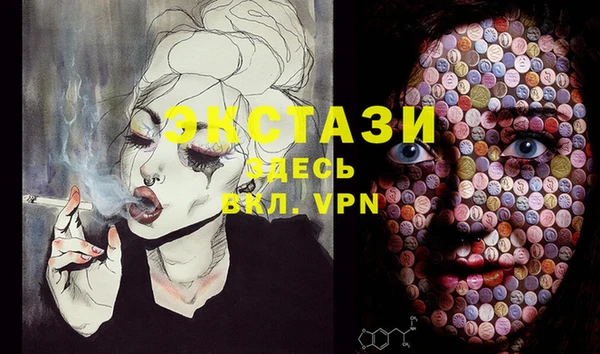 крисы Аркадак