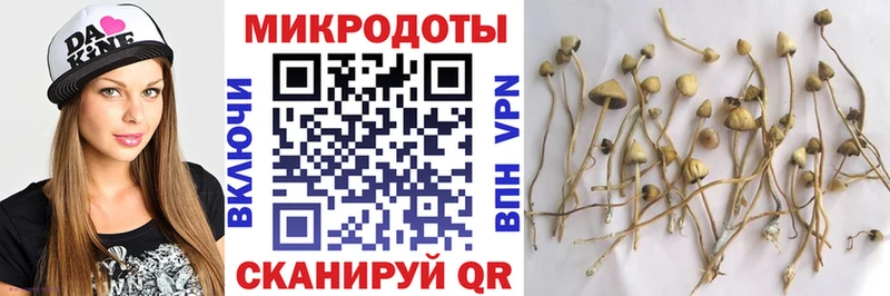 Псилоцибиновые грибы Psilocybine cubensis  Олонец 